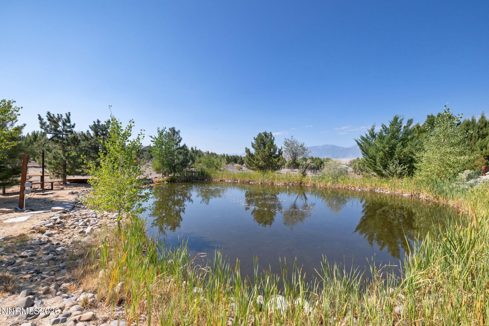 665 Rocking Horse Road Gardnerville, NV 89410 - Photo 49 of 93 40-web-or-mls-665 Rocking Horse -40
