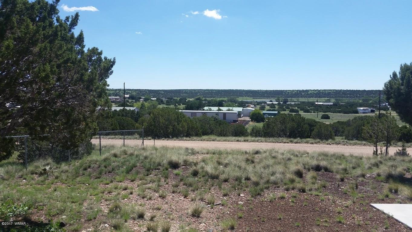 47 Short Lane Concho, AZ 85924 - Photo 3 of 16
