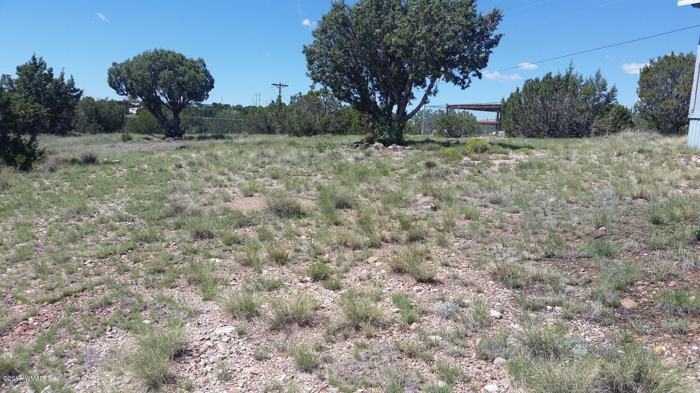 47 Short Lane Concho, AZ 85924 - Photo 4 of 16