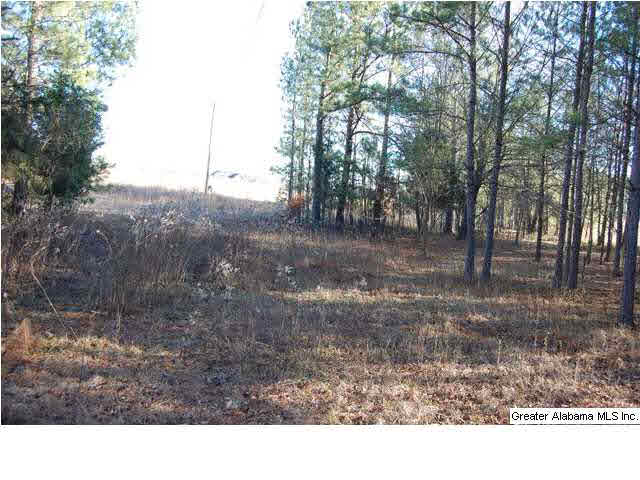 993 County Road, Unit 8/13/12 Clanton, AL 35045 - Photo 6 of 9