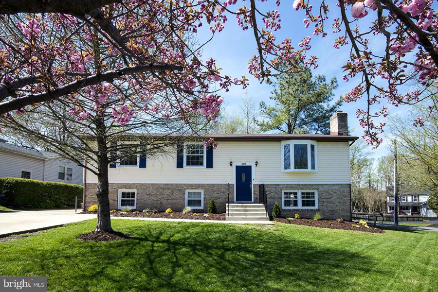 310 Talahi Road Southeast Vienna, VA 22180 - Photo 1 of 30 Exterior (Front)