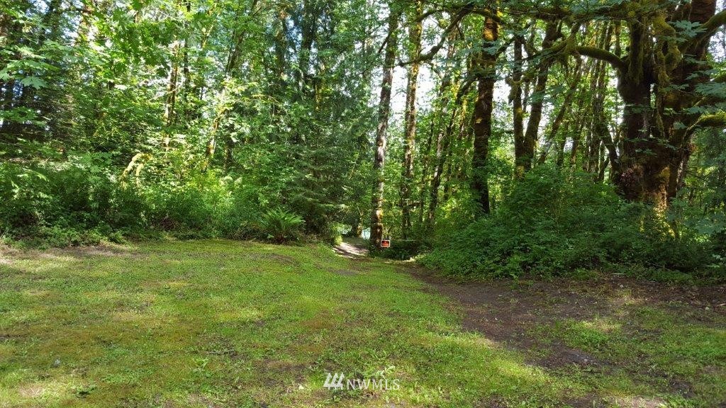 0 Spencer Road Toledo, WA 98591 - Photo 5 of 14 Gallery Image 5