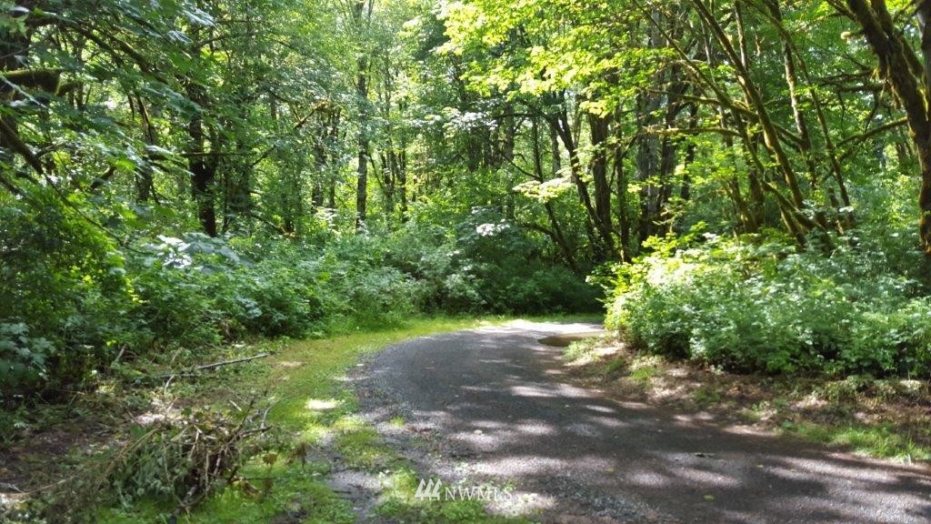 0 Spencer Road Toledo, WA 98591 - Photo 6 of 14 Gallery Image 6