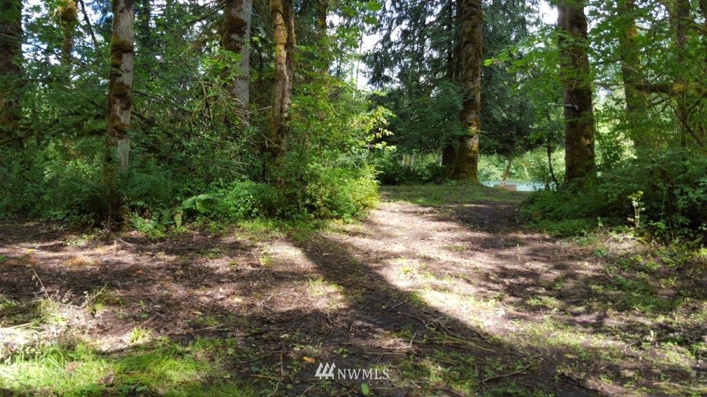 0 Spencer Road Toledo, WA 98591 - Photo 7 of 14 Gallery Image 7