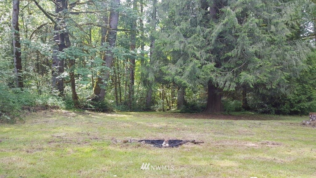 0 Spencer Road Toledo, WA 98591 - Photo 8 of 14 Gallery Image 8