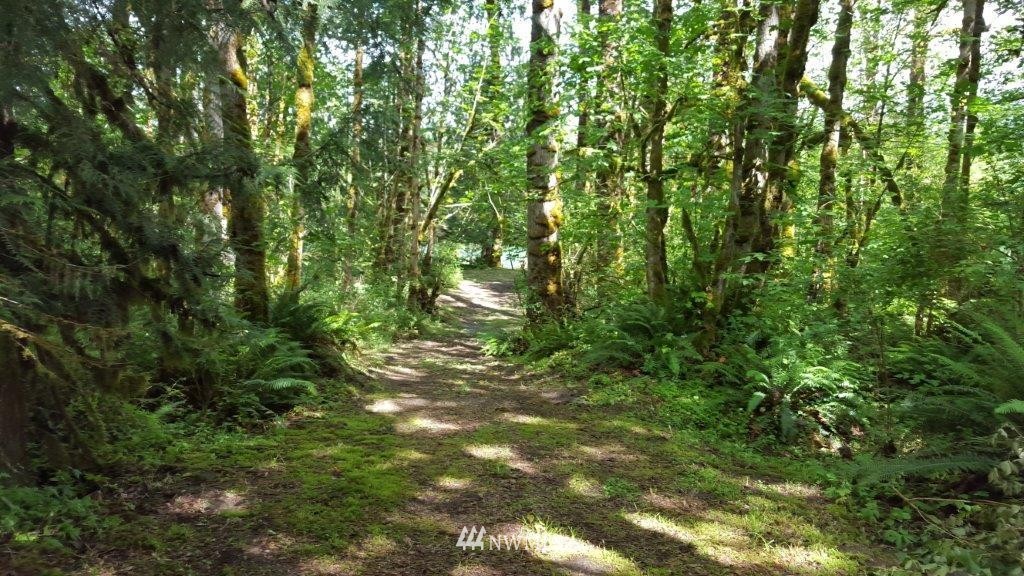 0 Spencer Road Toledo, WA 98591 - Photo 9 of 14 Gallery Image 9