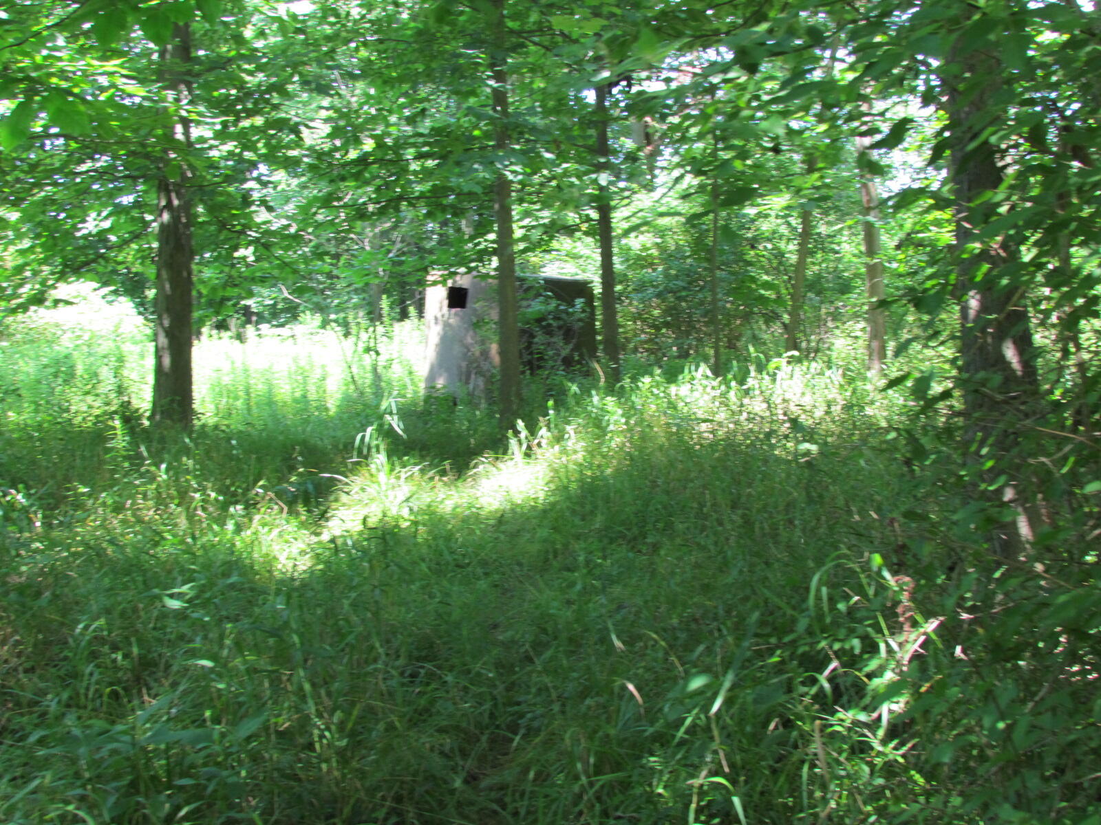 10571 Schenk Road Sidney, OH 45365 - Photo 55 of 75 Gallery Image 55