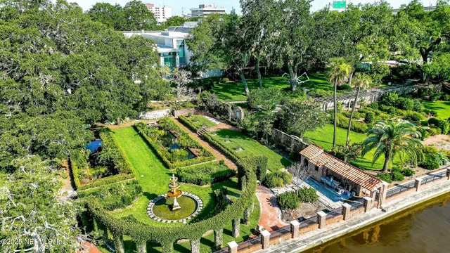 a view of a yard with plants
