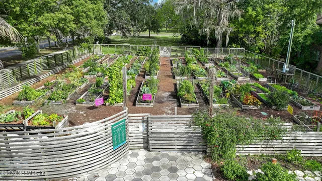 a view of a garden with wooden floor