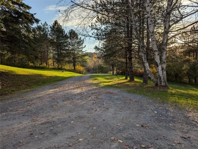 $133,000 | 9268 County Route 46, Arkport, NY 14807