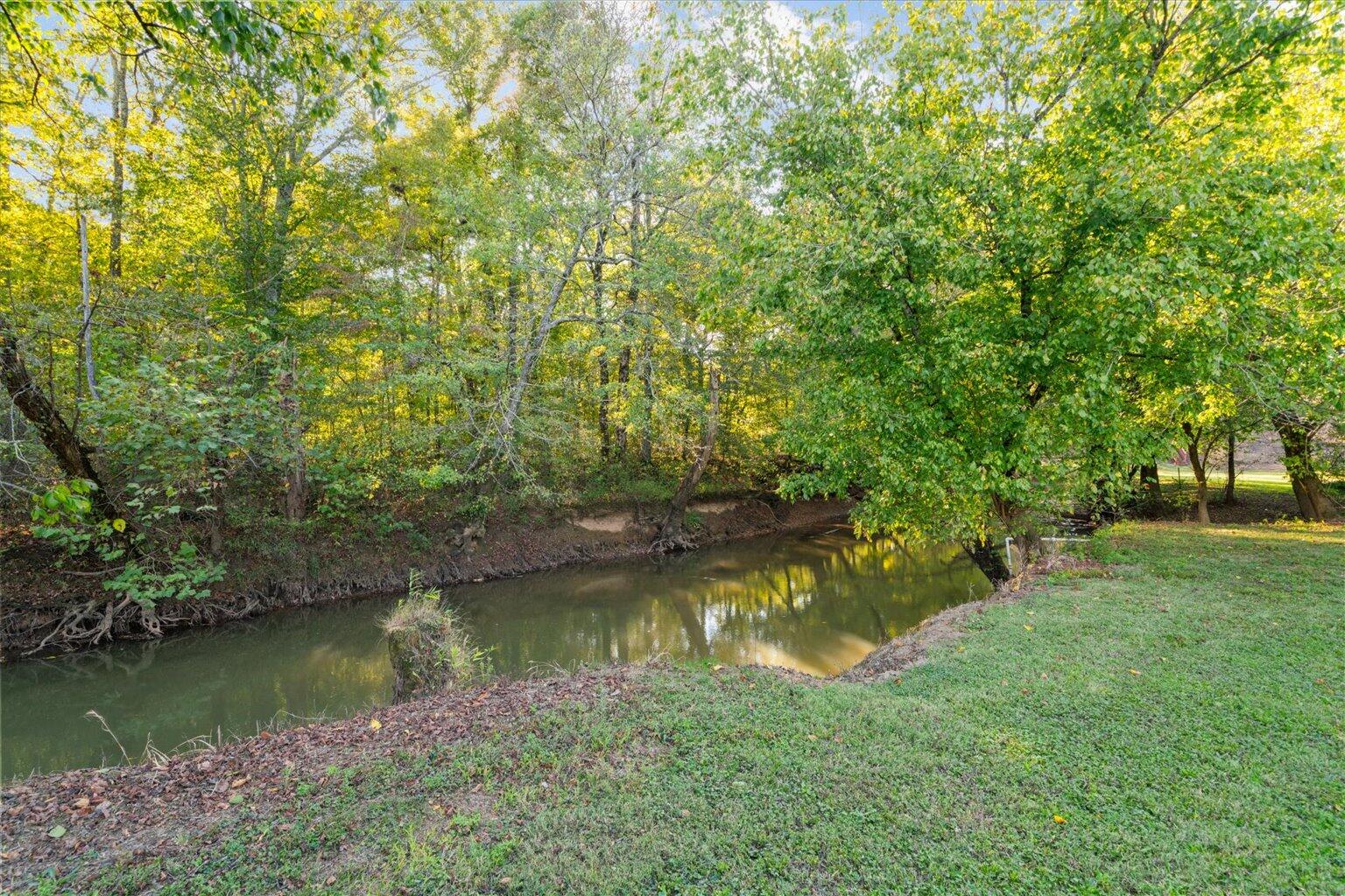 2458 Highway 163 Riceville, TN 37370 - Photo 90 of 100 090-DSC01524