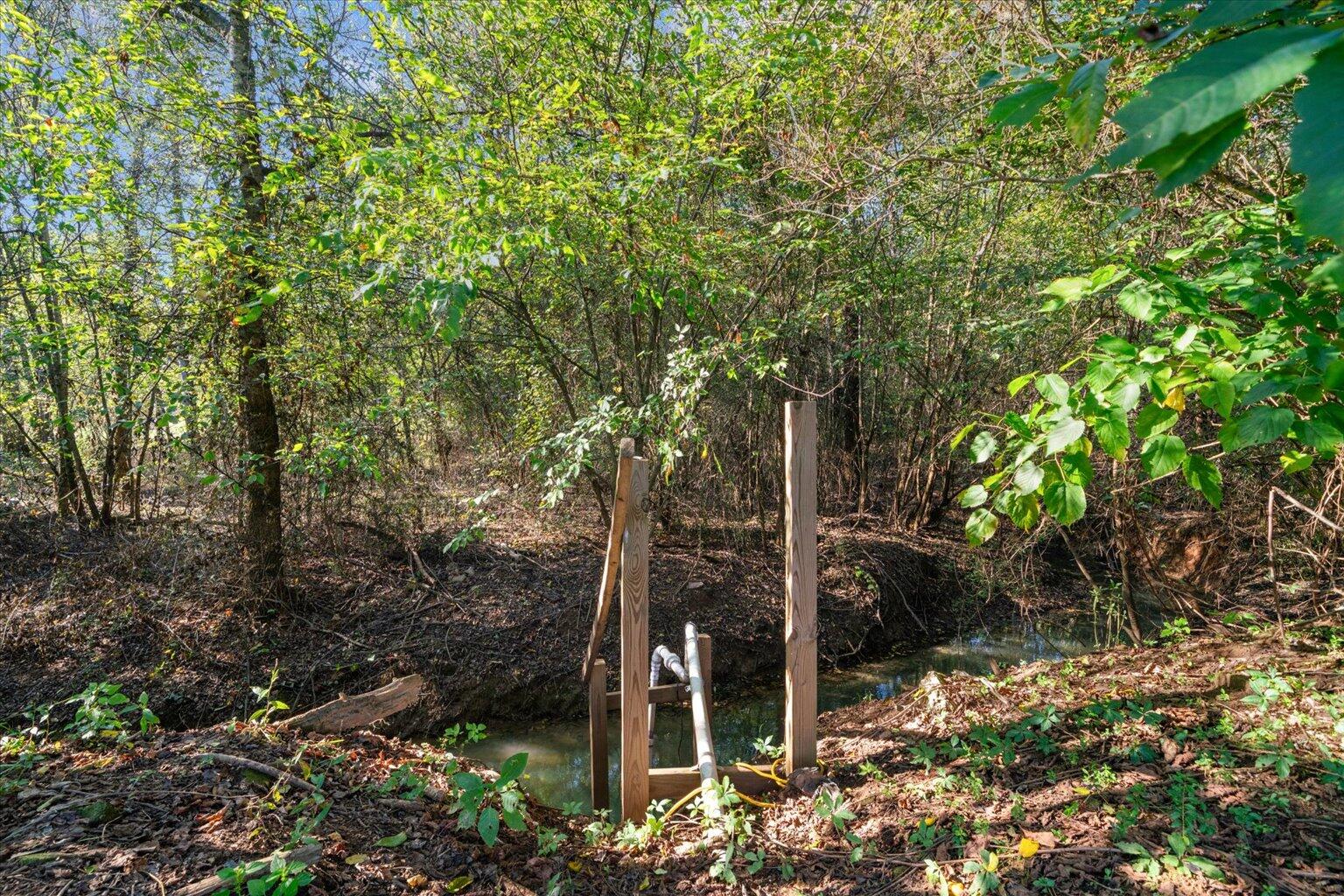 2458 Highway 163 Riceville, TN 37370 - Photo 93 of 100 093-DSC01553