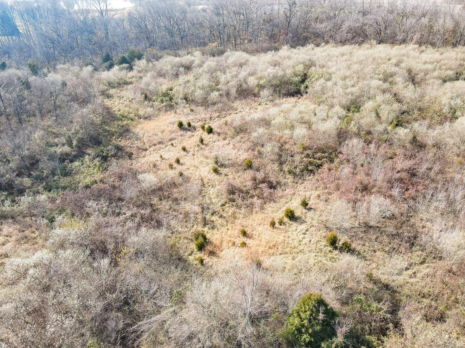 5214 Sportsman Road Waterloo, IL 62298 - Photo 23 of 26
