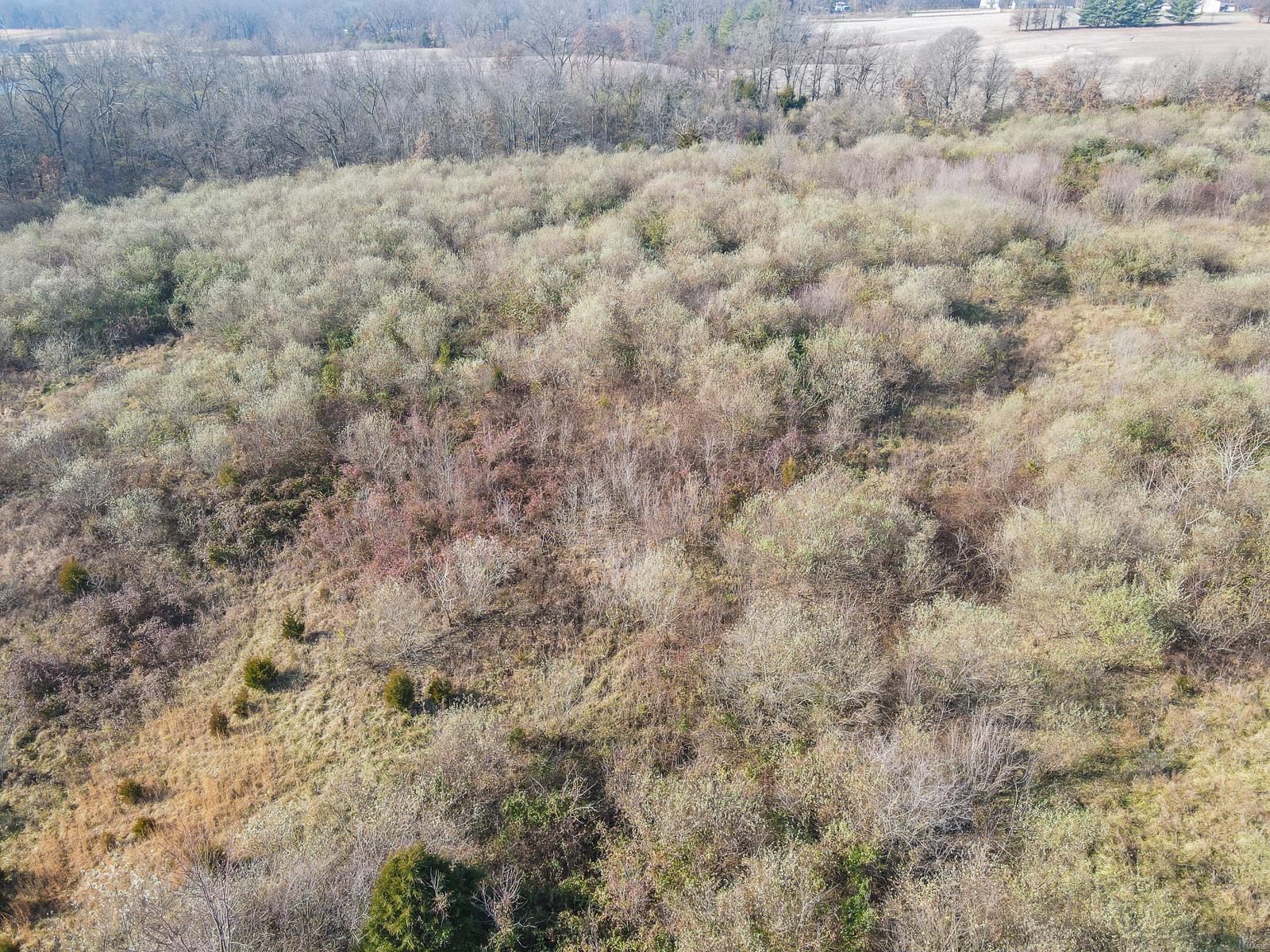 5214 Sportsman Road Waterloo, IL 62298 - Photo 26 of 26