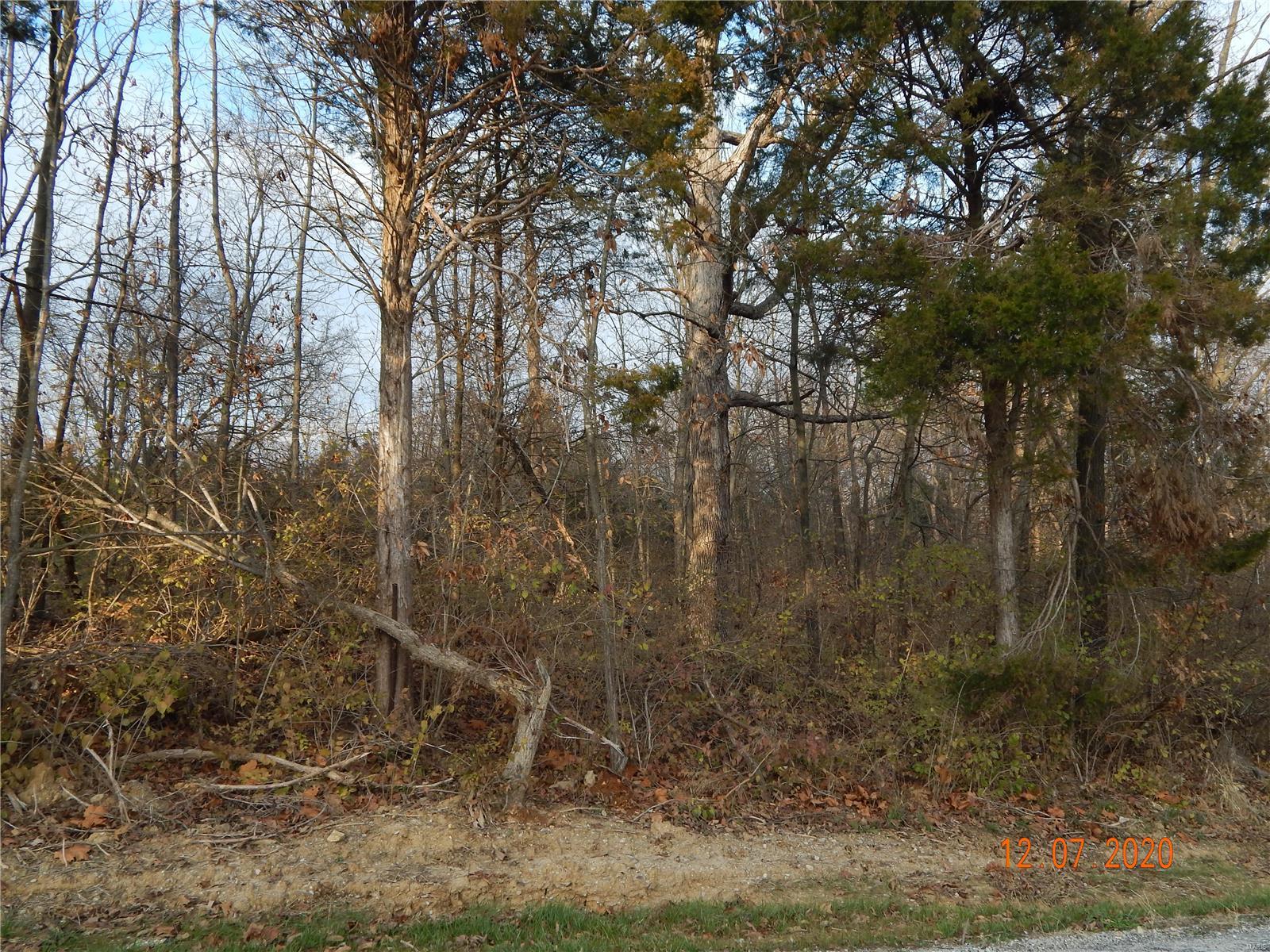 5214 Sportsman Road Waterloo, IL 62298 - Photo 6 of 26