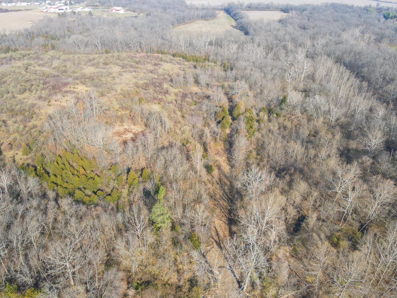 5214 Sportsman Road Waterloo, IL 62298 - Photo 7 of 26
