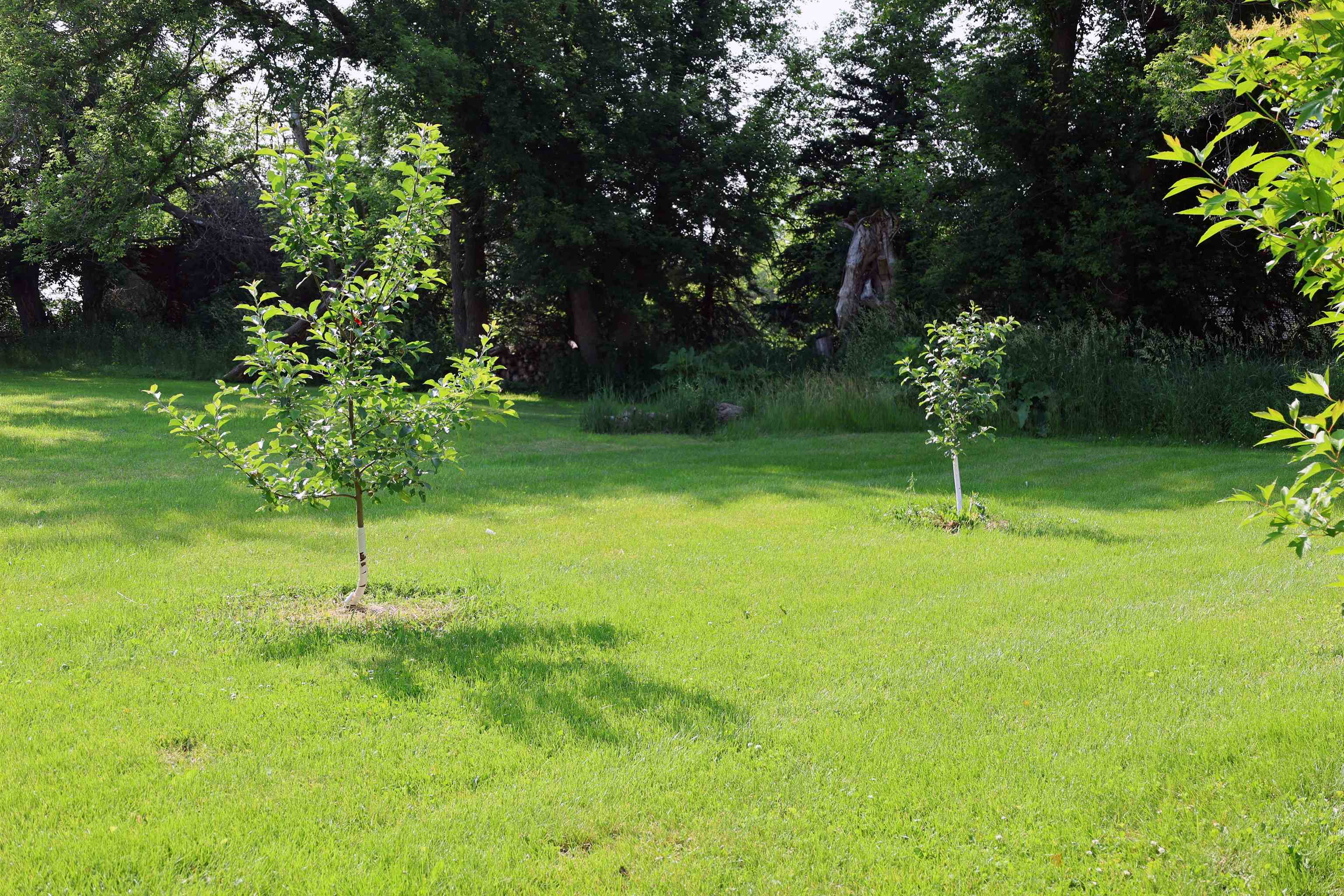 7191 Elder Lane, Unit 1 Sun Prairie, WI 53590 - Photo 25 of 40