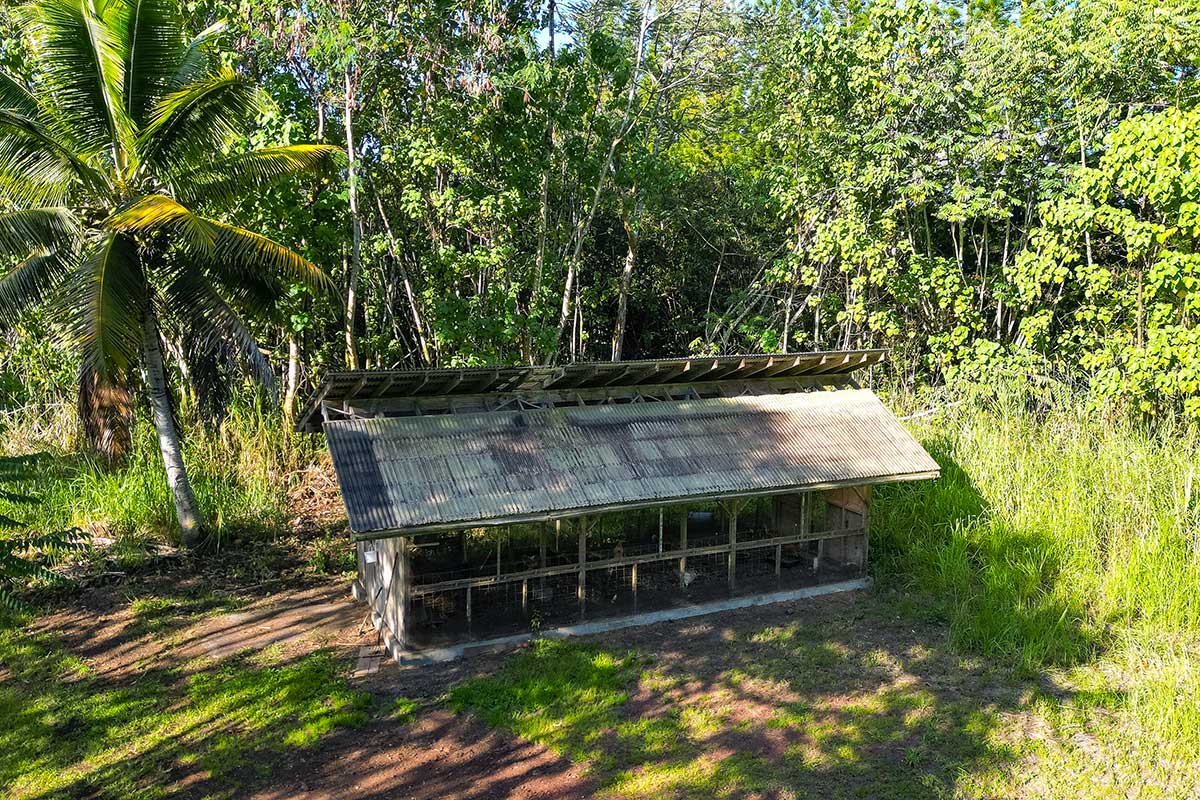26 Papaya Farms Road Pahoa, HI 96778 - Photo 11 of 30