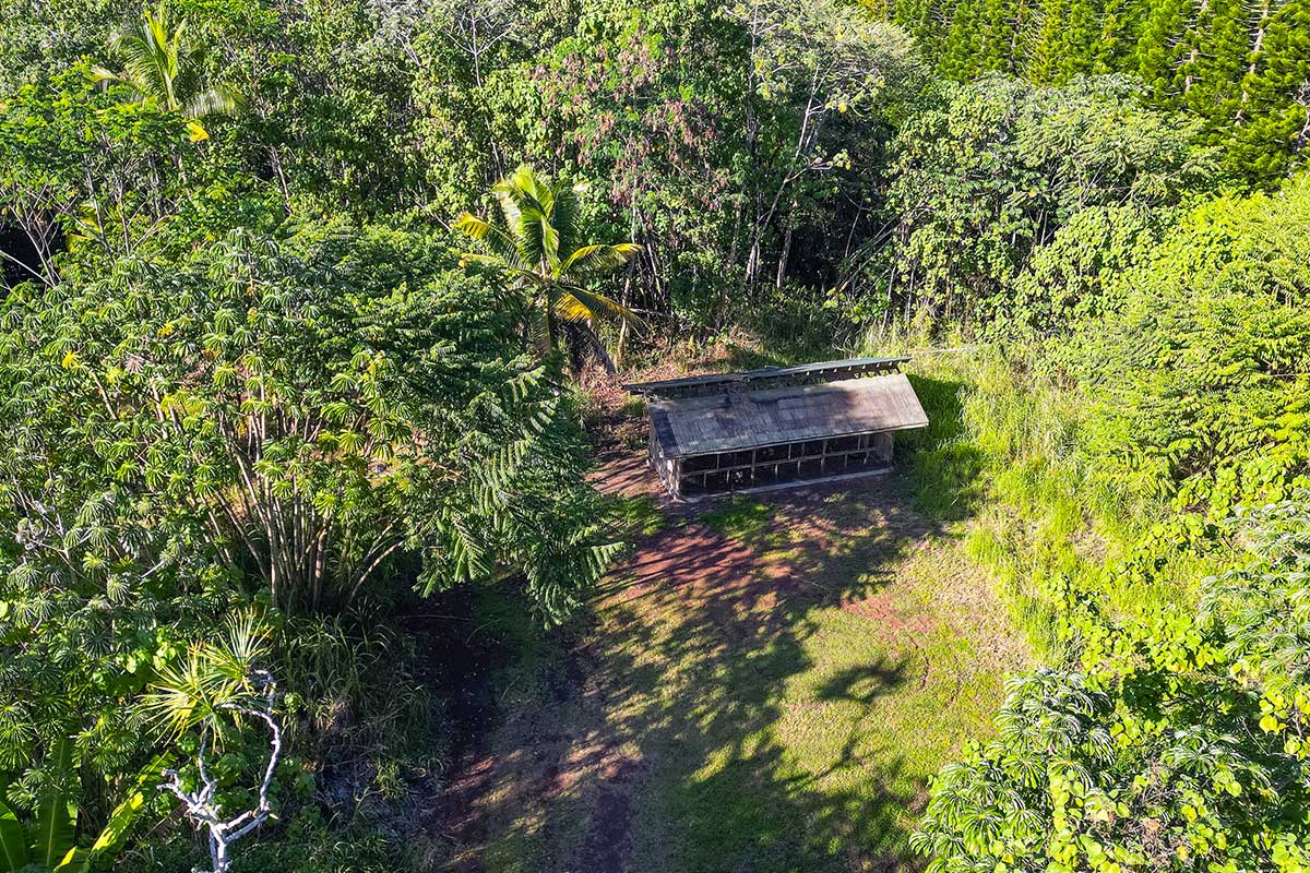 26 Papaya Farms Road Pahoa, HI 96778 - Photo 12 of 30