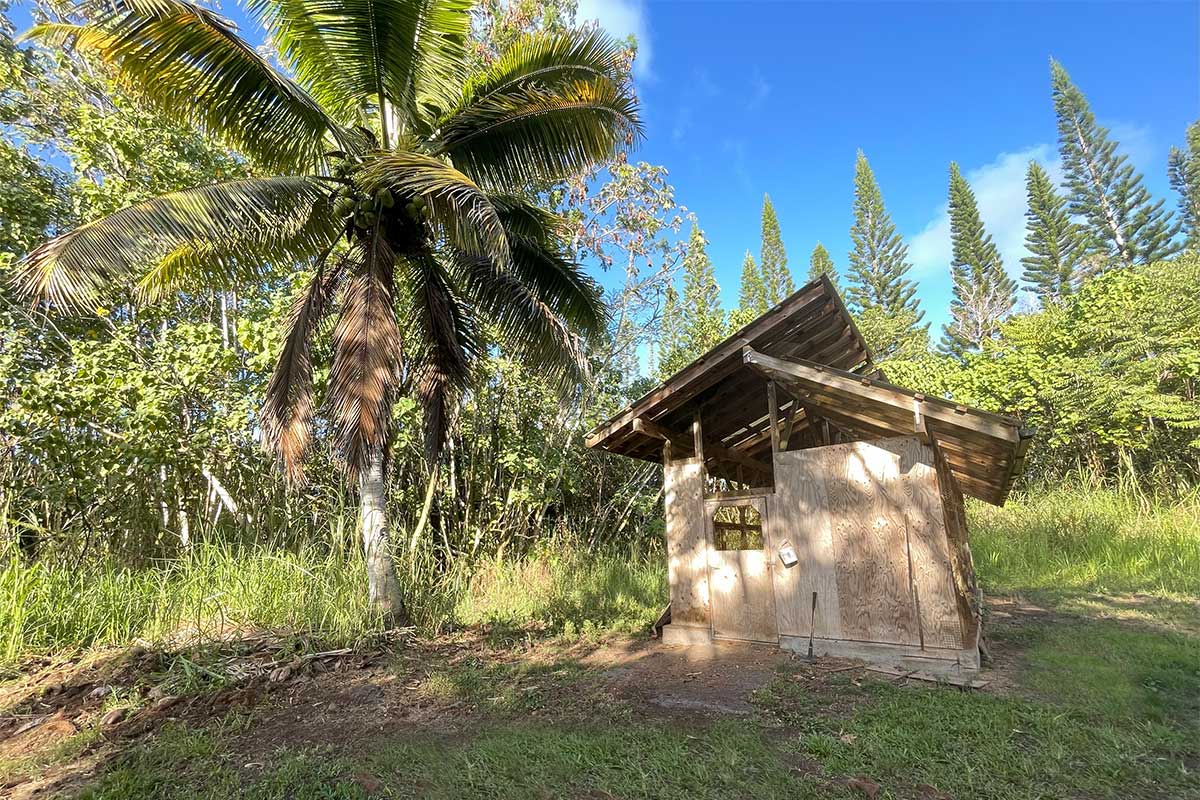 26 Papaya Farms Road Pahoa, HI 96778 - Photo 13 of 30