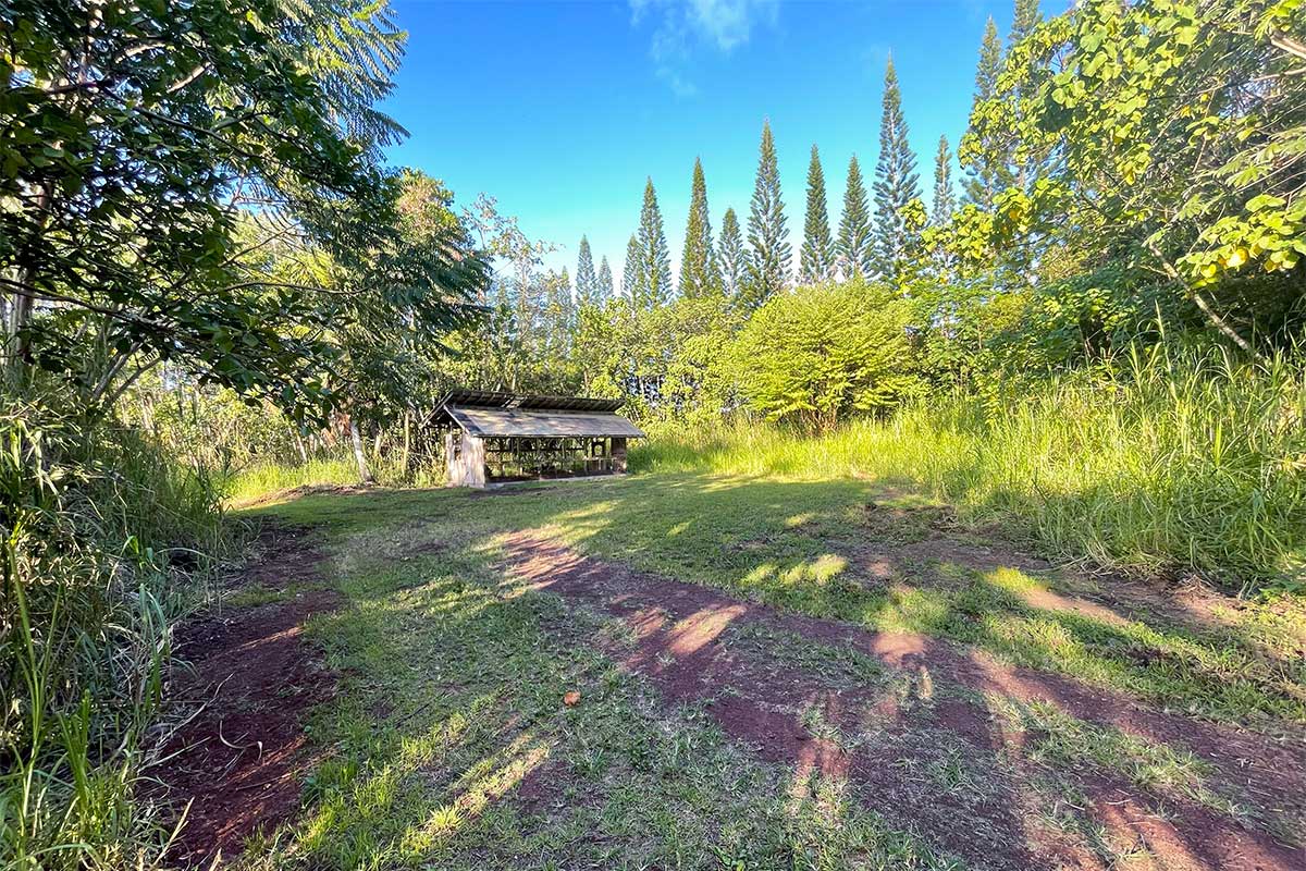 26 Papaya Farms Road Pahoa, HI 96778 - Photo 14 of 30