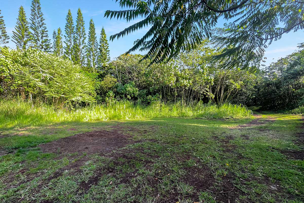 26 Papaya Farms Road Pahoa, HI 96778 - Photo 16 of 30