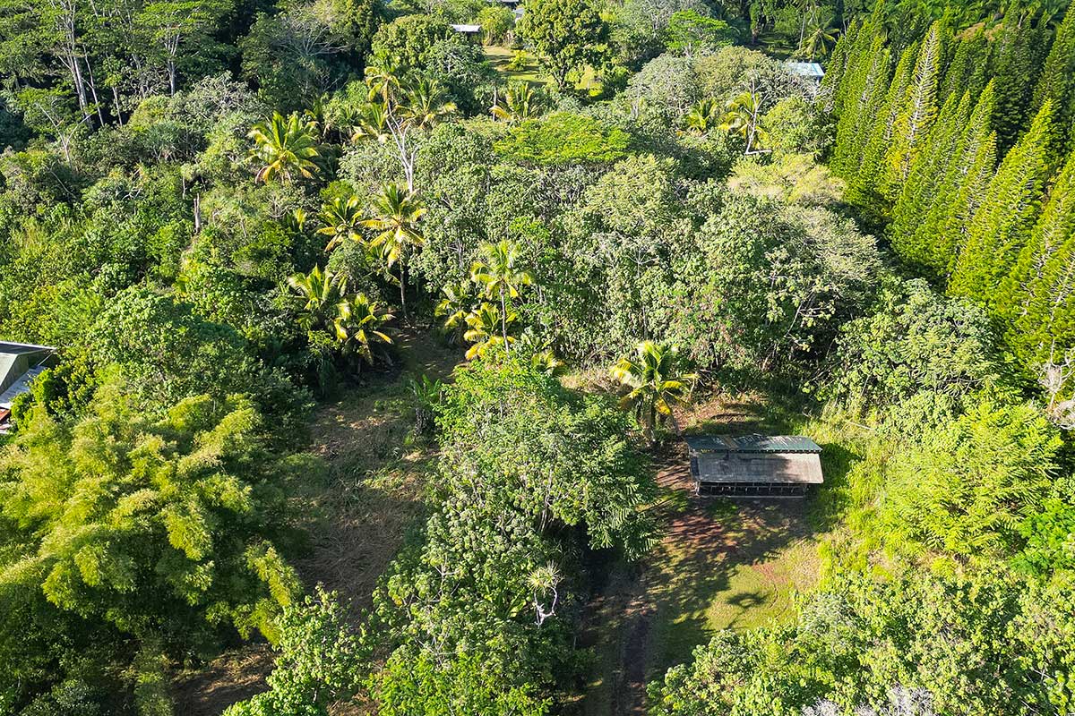 26 Papaya Farms Road Pahoa, HI 96778 - Photo 17 of 30