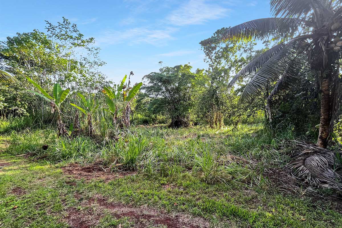 26 Papaya Farms Road Pahoa, HI 96778 - Photo 18 of 30