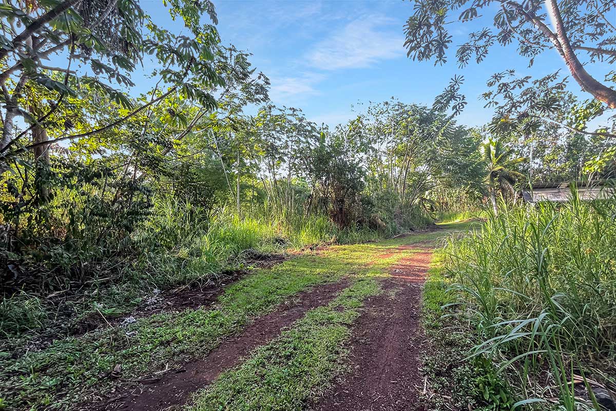 26 Papaya Farms Road Pahoa, HI 96778 - Photo 24 of 30
