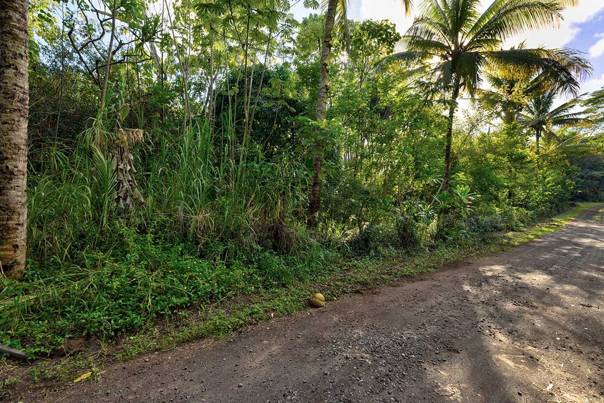 26 Papaya Farms Road Pahoa, HI 96778 - Photo 25 of 30