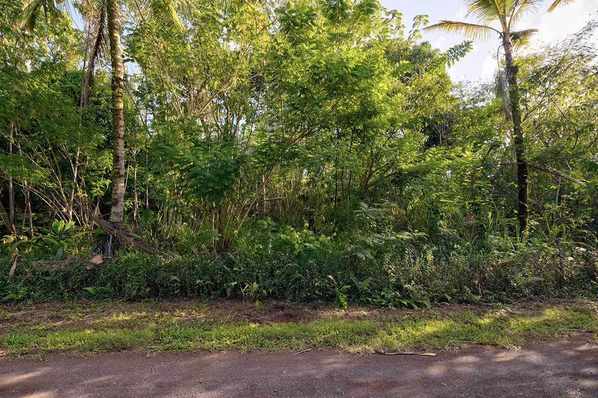 26 Papaya Farms Road Pahoa, HI 96778 - Photo 26 of 30