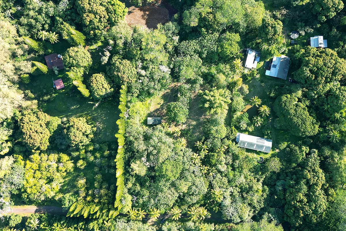 26 Papaya Farms Road Pahoa, HI 96778 - Photo 27 of 30