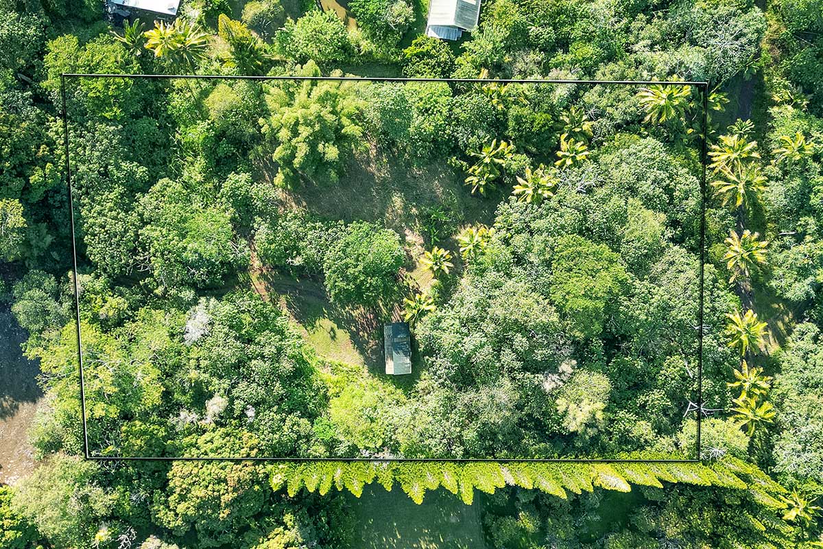 26 Papaya Farms Road Pahoa, HI 96778 - Photo 3 of 30