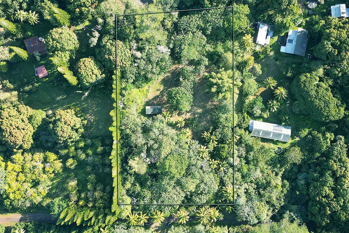 26 Papaya Farms Road Pahoa, HI 96778 - Photo 4 of 30