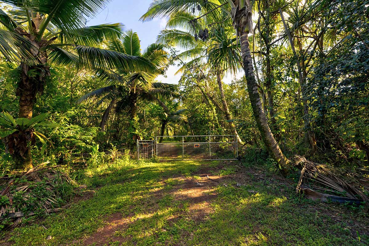 26 Papaya Farms Road Pahoa, HI 96778 - Photo 7 of 30