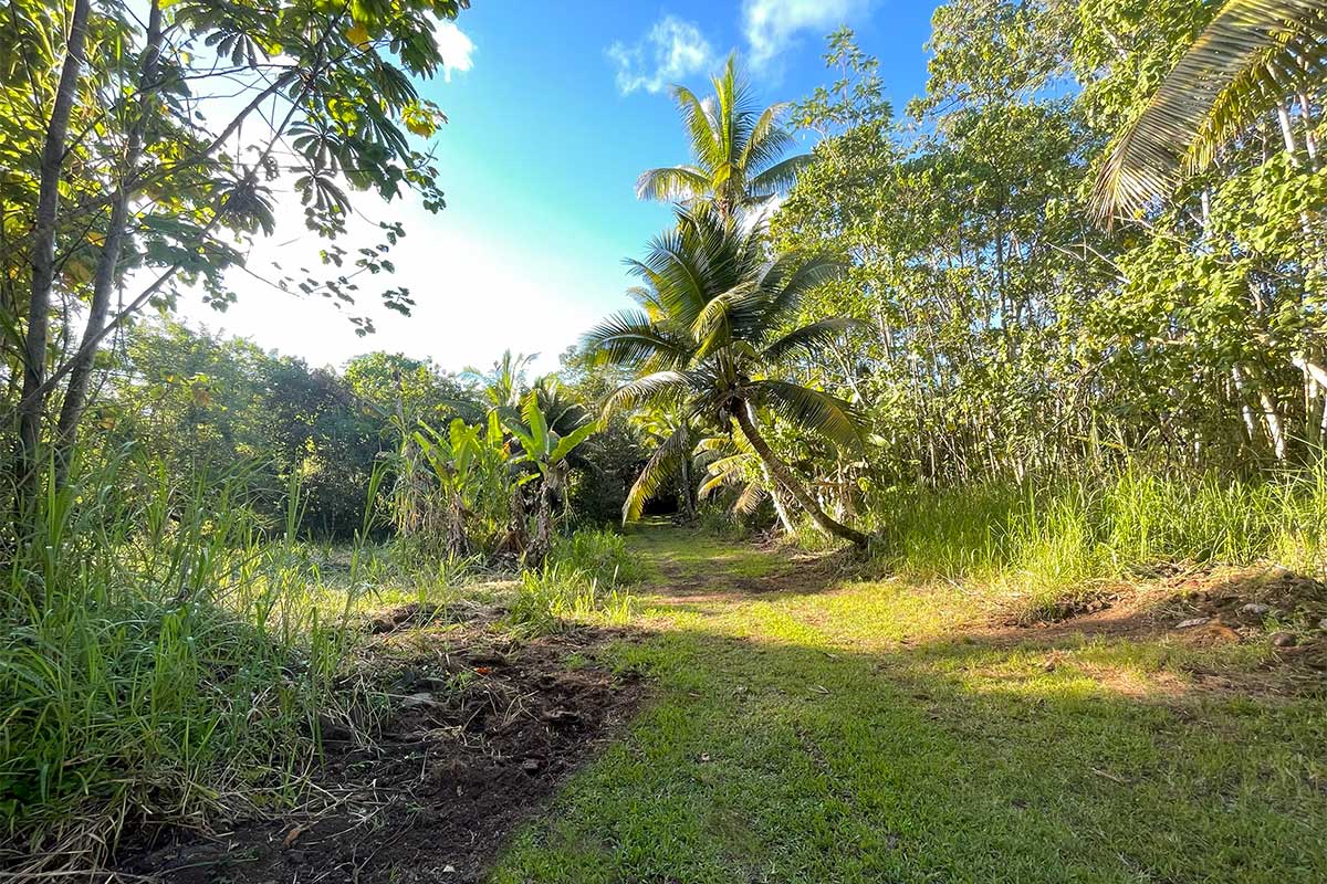 26 Papaya Farms Road Pahoa, HI 96778 - Photo 9 of 30