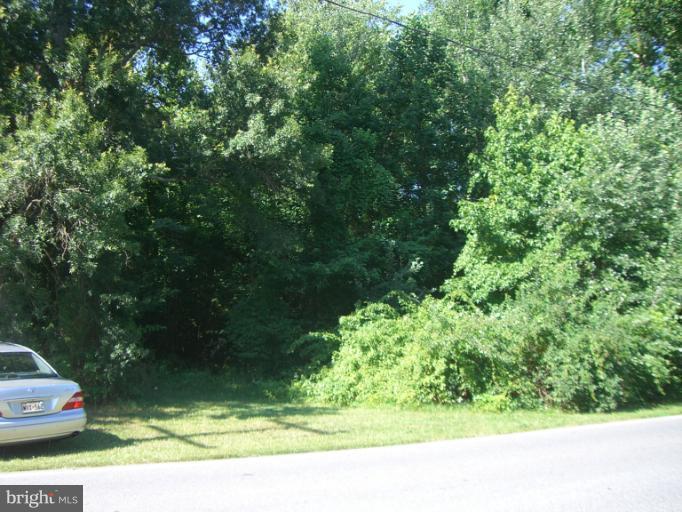 949 Bayard Road Lothian, MD 20711 - Photo 2 of 2 view from the road - heavily wooded