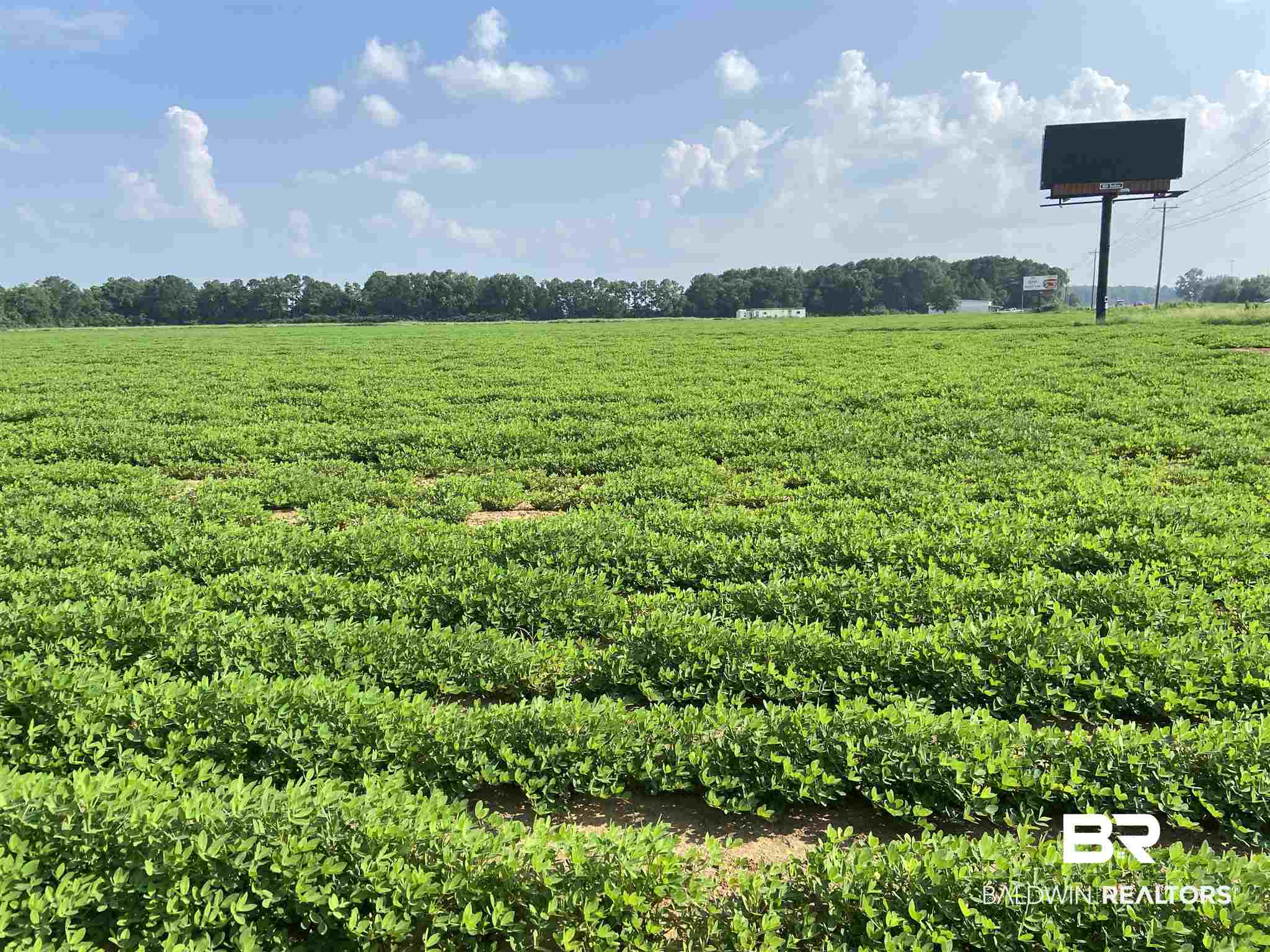 21 Highway 21 Atmore, AL 36502 - Photo 5 of 19