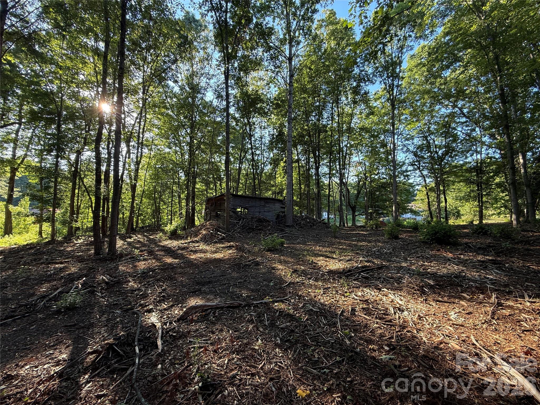 567 Legion Road Lenoir, NC 28645 - Photo 2 of 4 a view of a forest with trees in the background