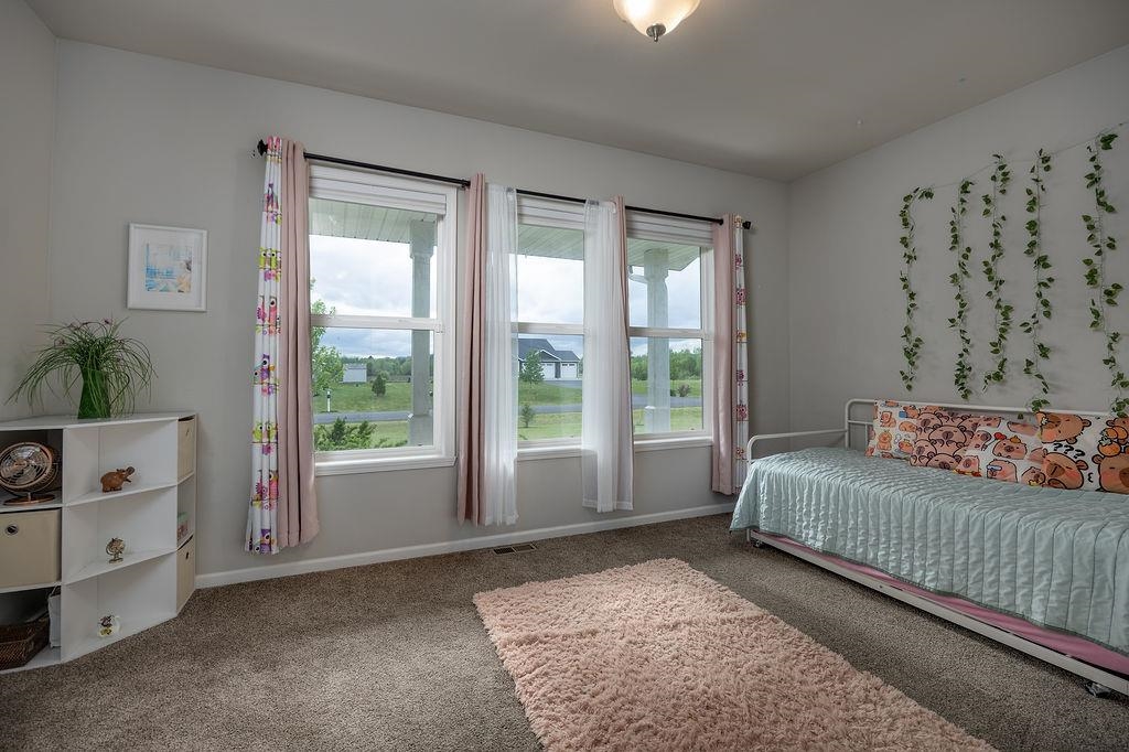 N8834 Hannah Road Belleville, WI 53508 - Photo 21 of 32