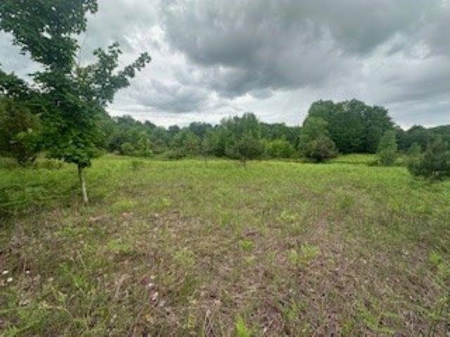 V/l McKinney Road Central Lake, MI 49622 - Photo 8 of 29