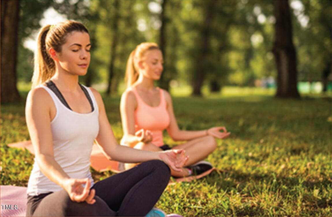 3939 Willow Gate Way Raleigh, NC 27604 - Photo 26 of 32