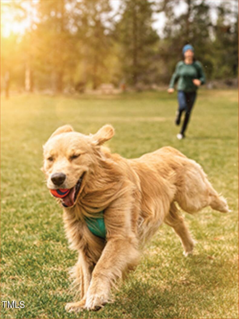 3939 Willow Gate Way Raleigh, NC 27604 - Photo 31 of 32 a view of ocean