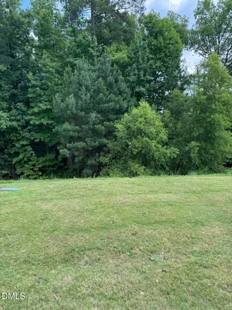 a view of a field with trees