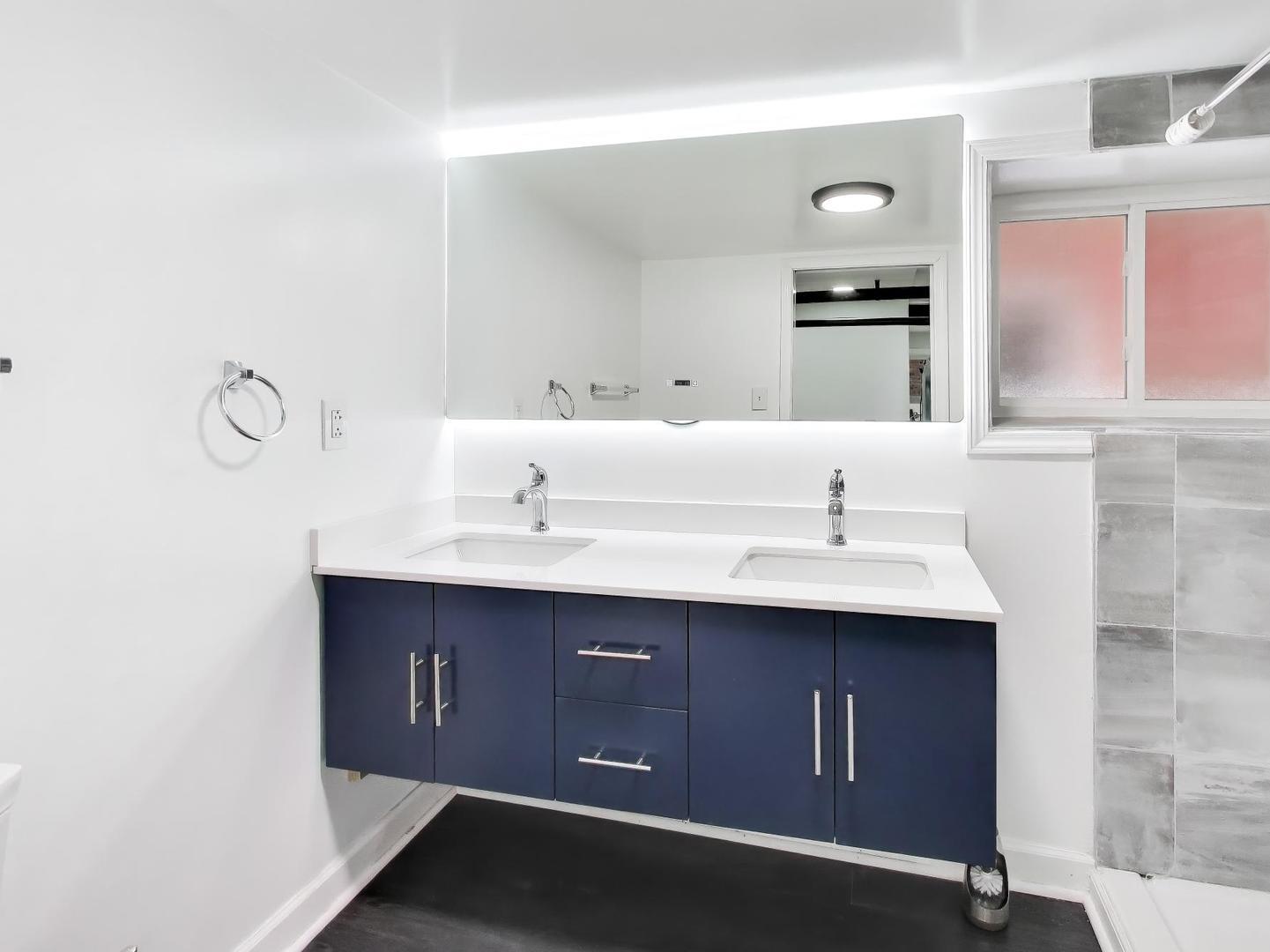 8322 South Sangamon Street Chicago, IL 60620 - Photo 7 of 36 a bathroom with a sink and a mirror