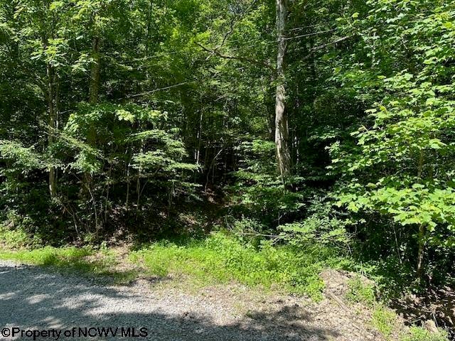 326 Joes Run Road Mannington, WV 26582 - Photo 6 of 9 Gallery Image 6