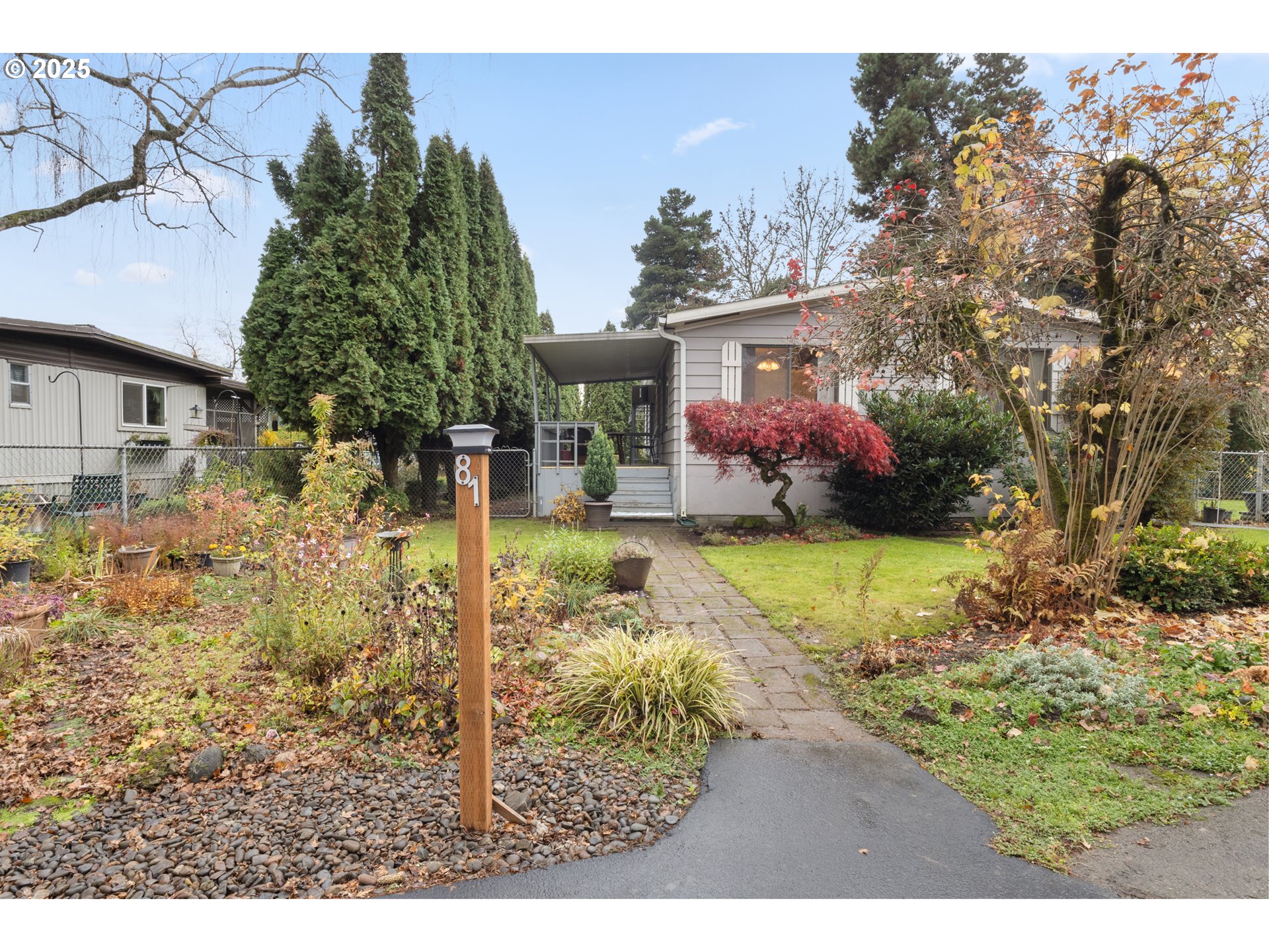 a view of a yard with plants