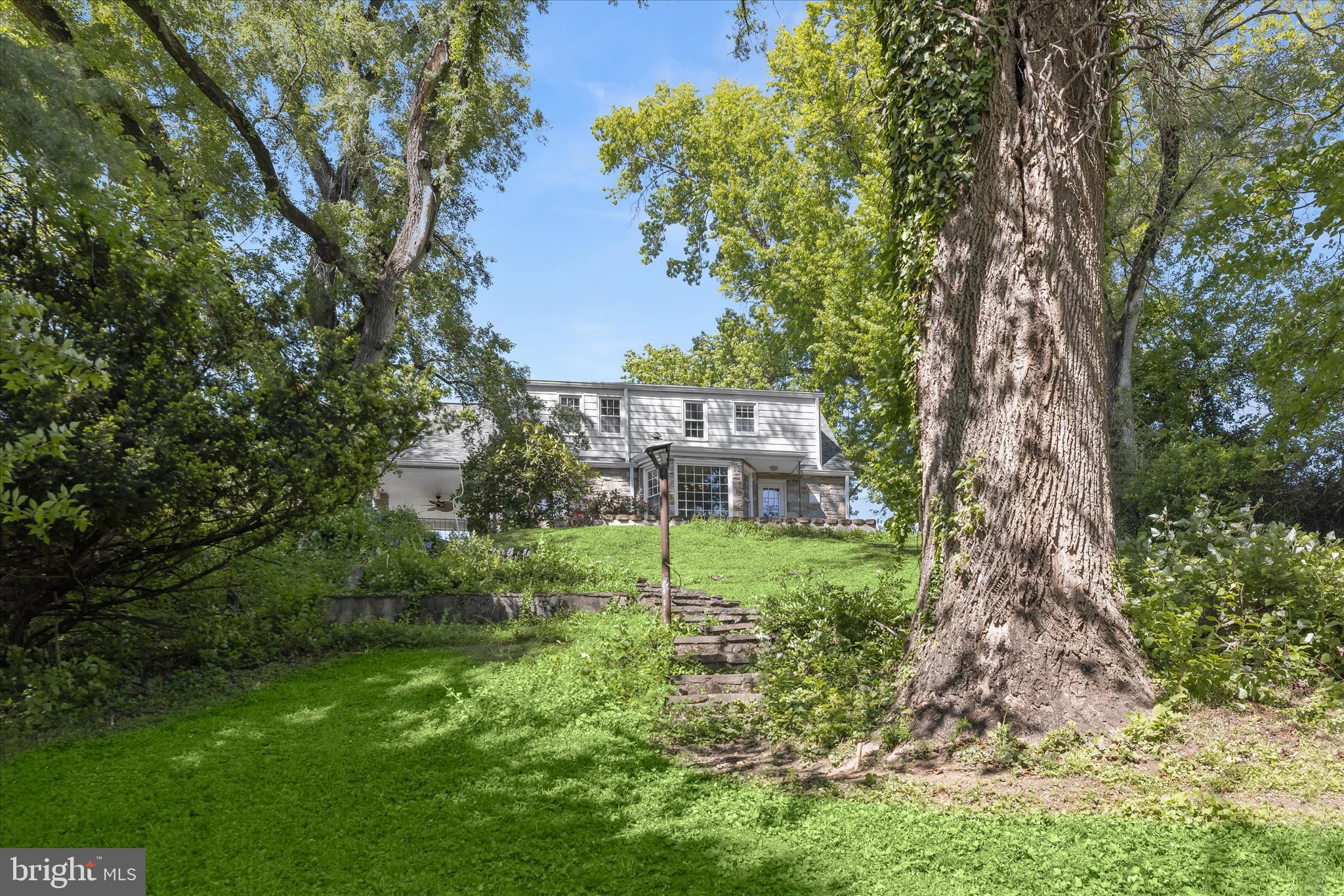 8701 Windsor Mill Road Baltimore, MD 21244 - Photo 54 of 59 Rear Lawn