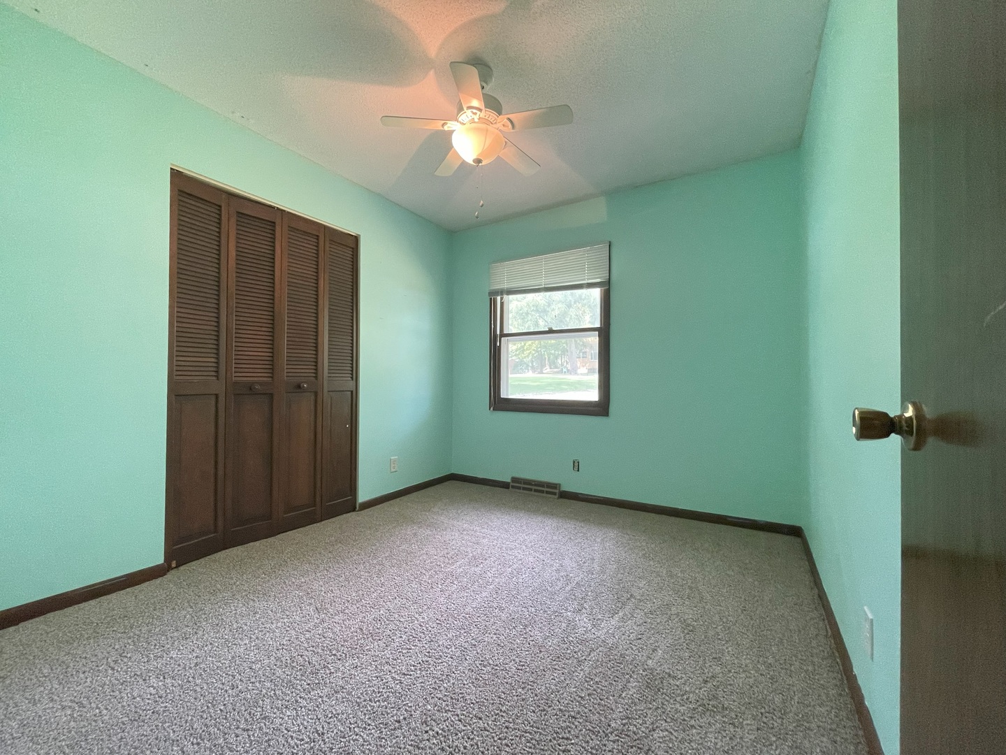 17 Circle Drive Saybrook, IL 61770 - Photo 9 of 17 an empty room with windows and closet