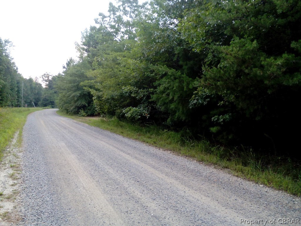57.4-ac 57.4-ac Poplar Grove Road Center Cross, VA 22437 - Photo 2 of 12
